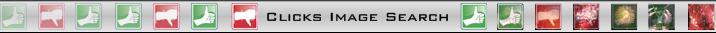 Clicks Image Search